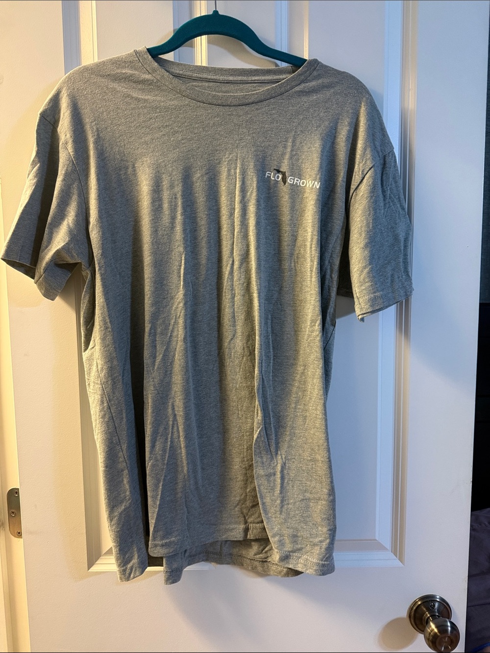 Men's Crew Neck T-Shirt - Gray
